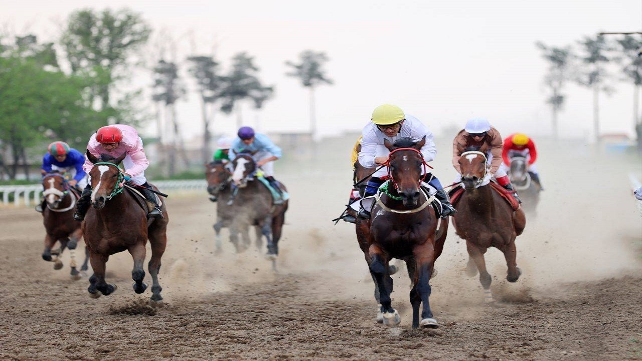برگزاری رقابت های هفته ششم مسابقات اسبدوانی فصل بهاره گنبدکاووس