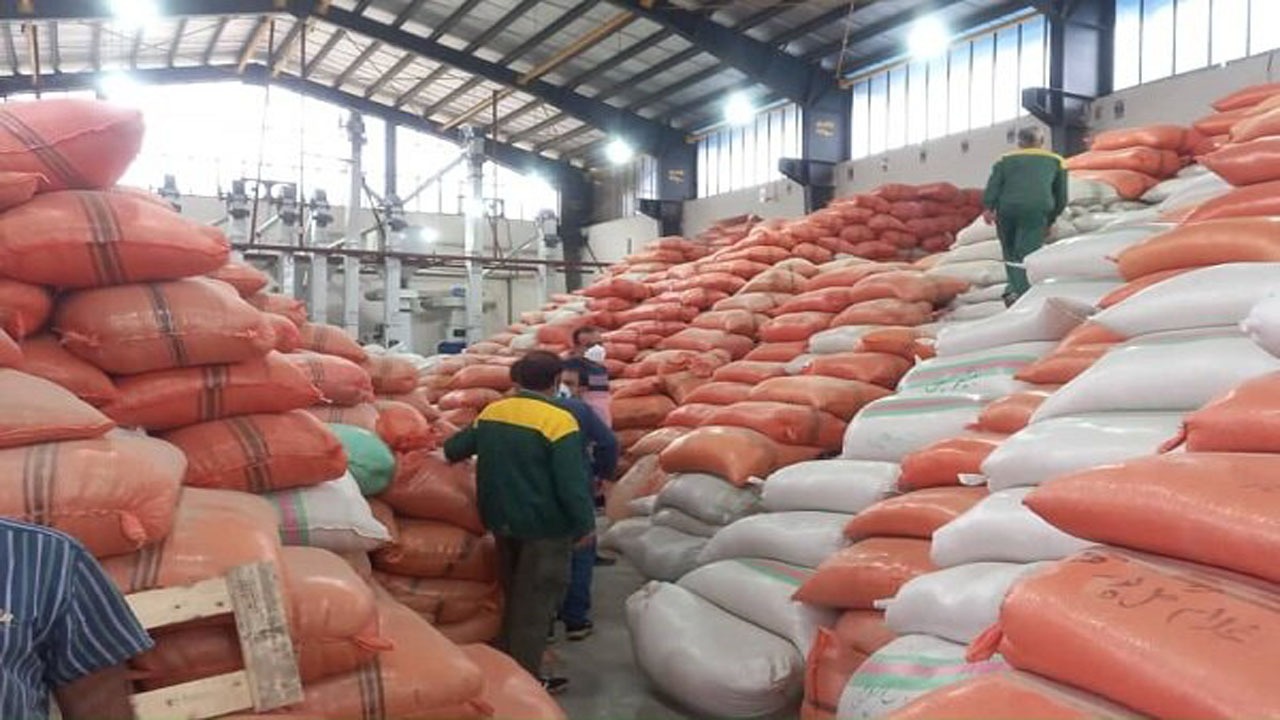 خرید ۲۸ هزار تن برنج انبار شده در مازندران