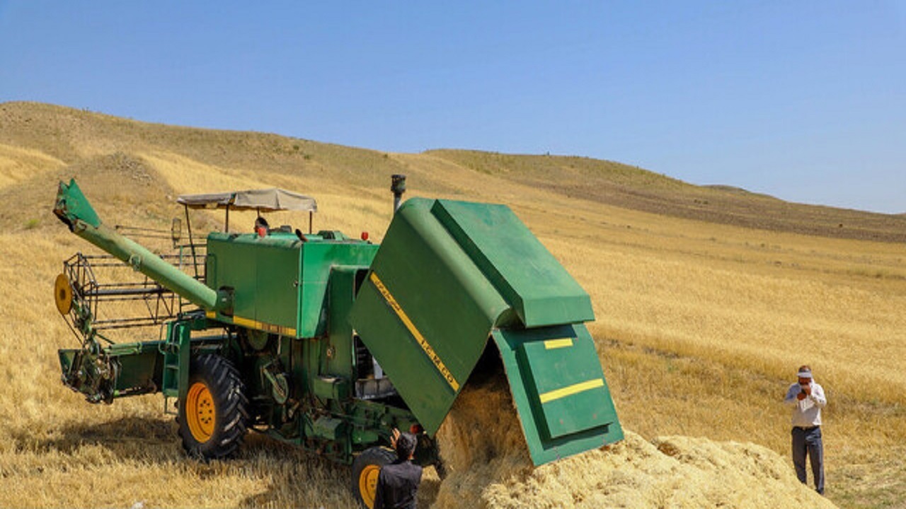 خریداری بیش از ۴۱ هزار و ۷۰۰ تن گندم از کشاورزان مناطق گرمسیری