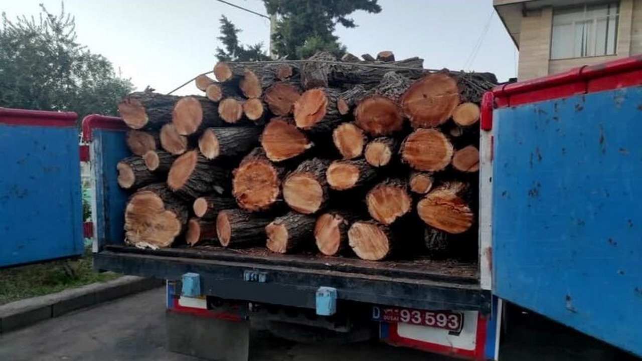 توقیف ۵ تن چوب قاچاق در دهلران