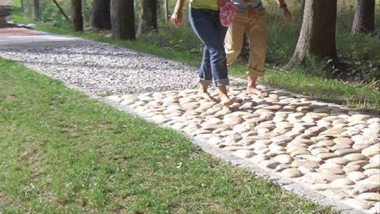 برای اولین بار در استان، «مسیر پیاده روی بدون کفش» اجرا می‌شود