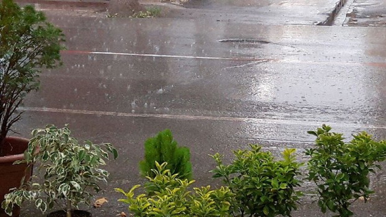 بارش رگباری باران از فردا در گیلان