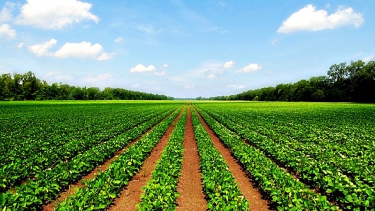 افتتاح ۴ طرح بزرگ کشاورزی در آذربایجان شرقی