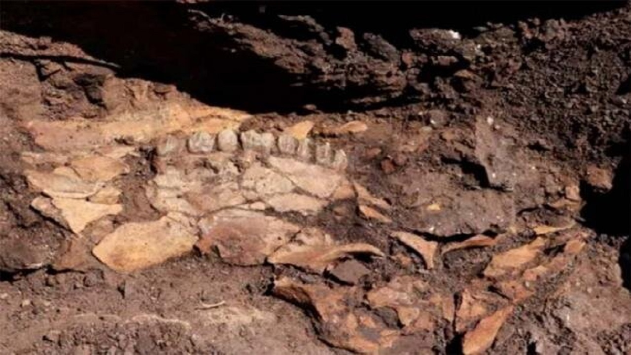 کشف ابزارهای ۷۰۰ هزار ساله + تصاوير