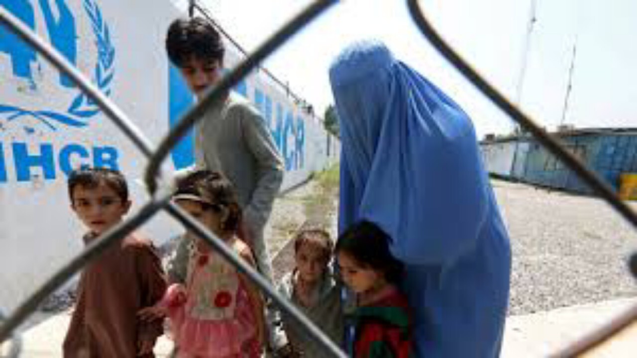 ارائه خدمات به بیش از ۱۷۴ هزار افغانستانی
