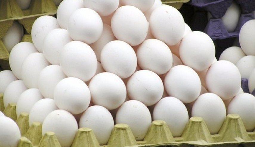 تخم مرغ ۲۰ درصد ارزانتر از نرخ مصوب عرضه می شود