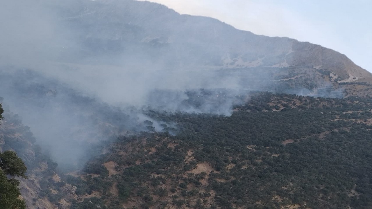ادامه آتش سوزی در منطقه حفاظت شده بوزین و مرخیل