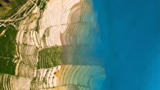 تصاویر هوایی از شالیزارهای خوزستان