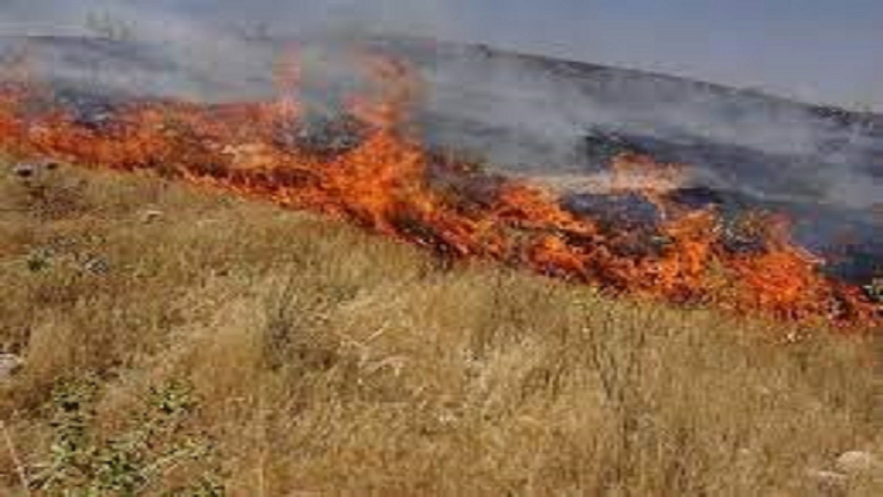 آتش زدن مزارع بعد از برداشت محصول ممنوع است