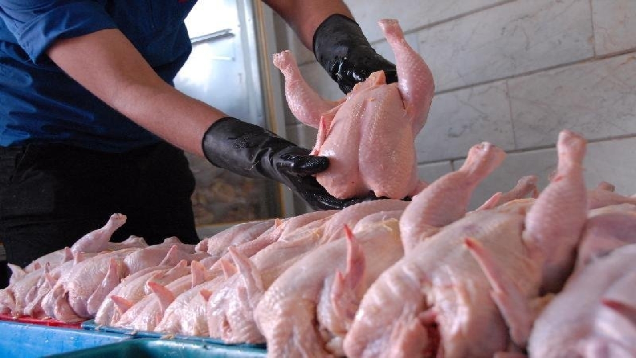 چرا توزیع مرغ منجمد در خوزستان متوقف شده است؟