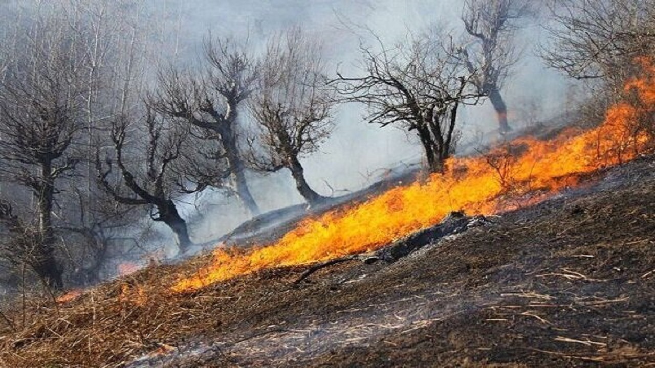 مهار دوباره آتش سوزی مراتع منطقه حفاظت شده بوزین و مره خیل