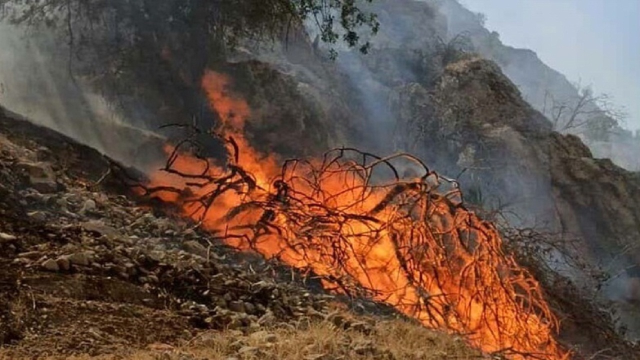 خسارت آتش سوزی به یک هکتار از اراضی منطقه حفاظت شده خامین