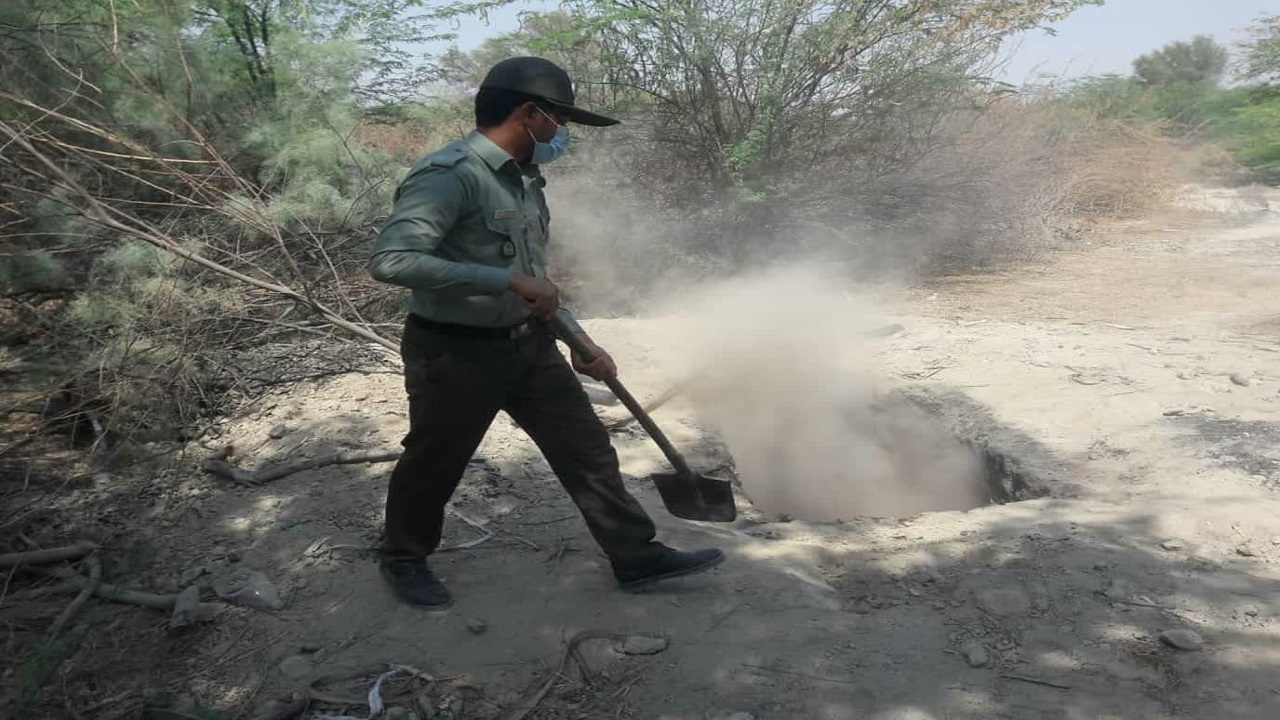 تخریب ۱۳ کوره ذغال غیر مجاز در شهرستان بندرلنگه