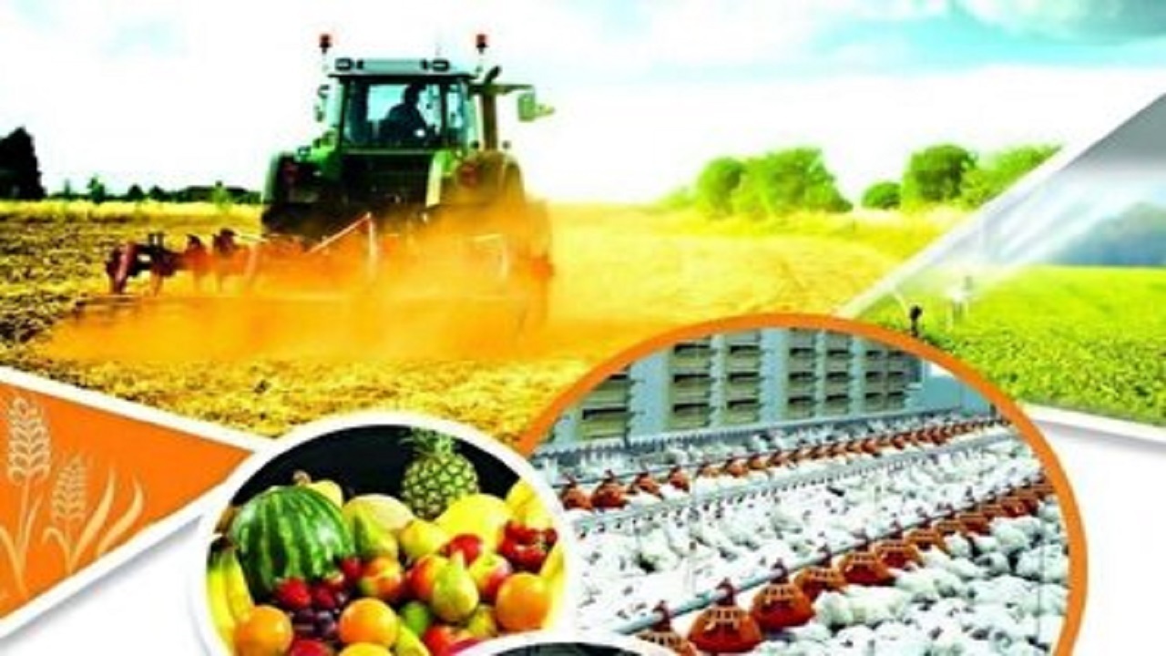 بهره برداری از ۵ طرح کشاورزی در شهرستان کرمانشاه
