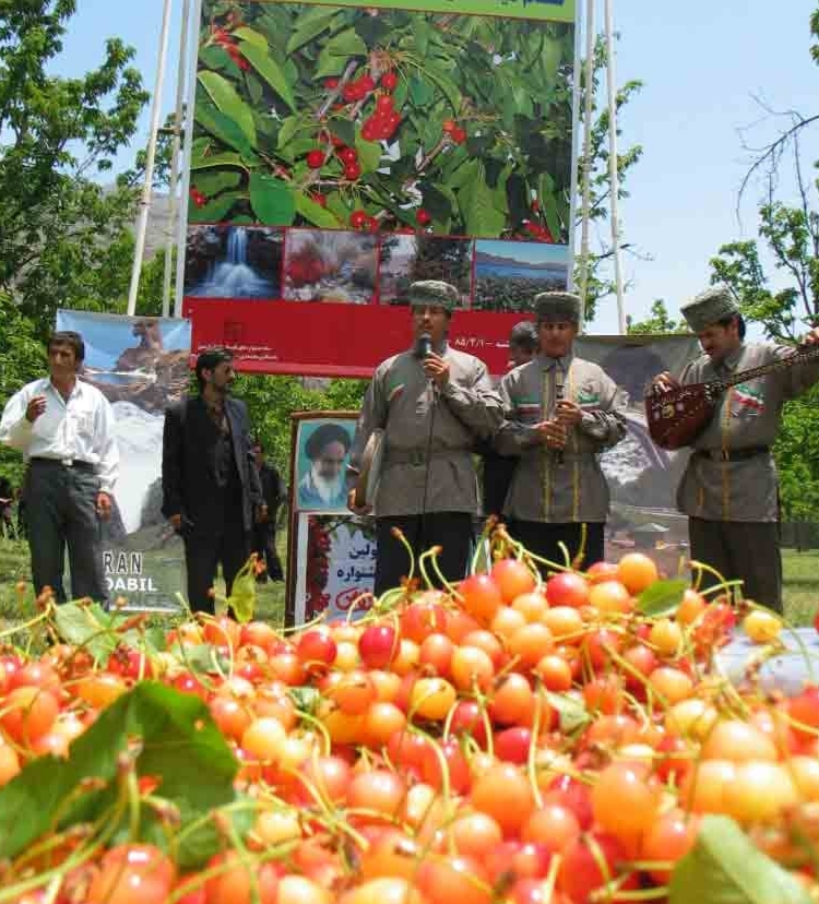 ۲۵ خرداد باغ شهر اردبیل میزبان جشنواره گیلاس است