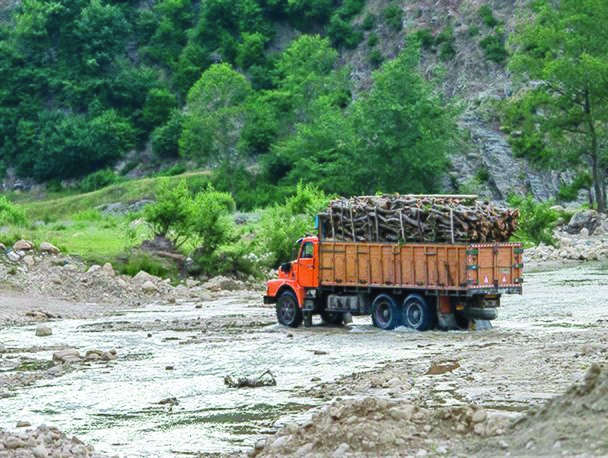 کشف ۱۰ تن چوب جنگلی قاچاق از یک کامیون در شفت