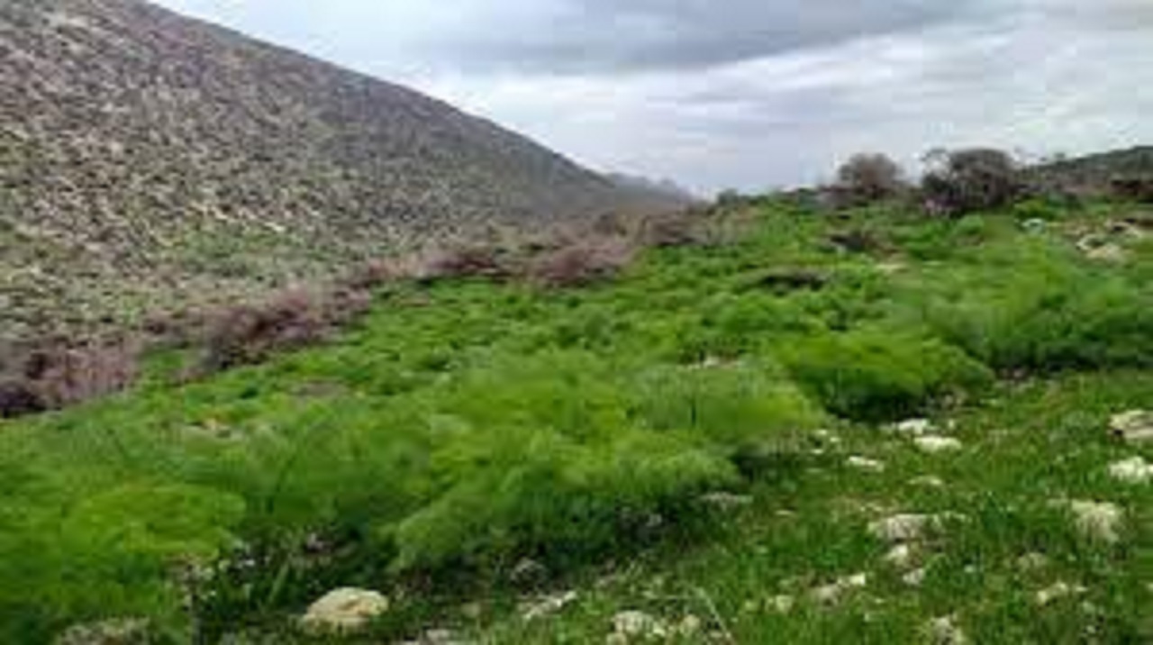 استان اصفهان دارای بیش از ۲ میلیون هکتار مناطق حفاظت شده و شکار ممنوع