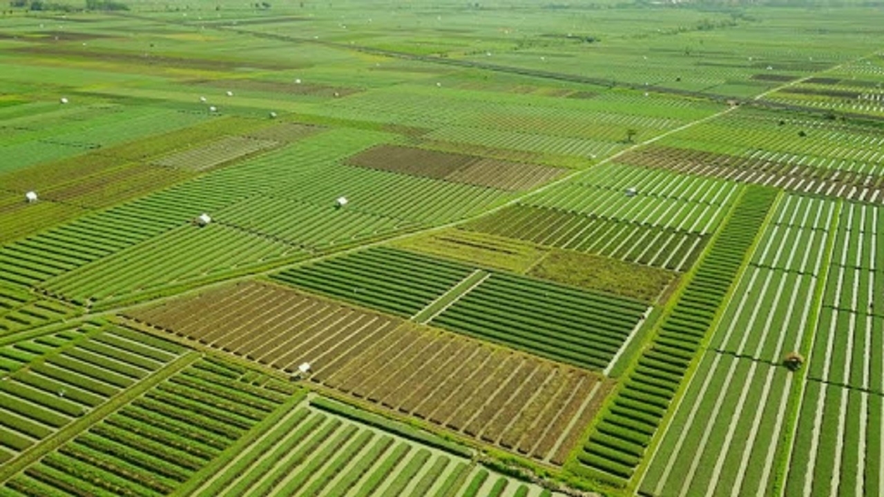 اختصاص فاینانس یک میلیارد دلاری دولت برای طرح ۵۵٠ هزار هکتاری کشاورزی