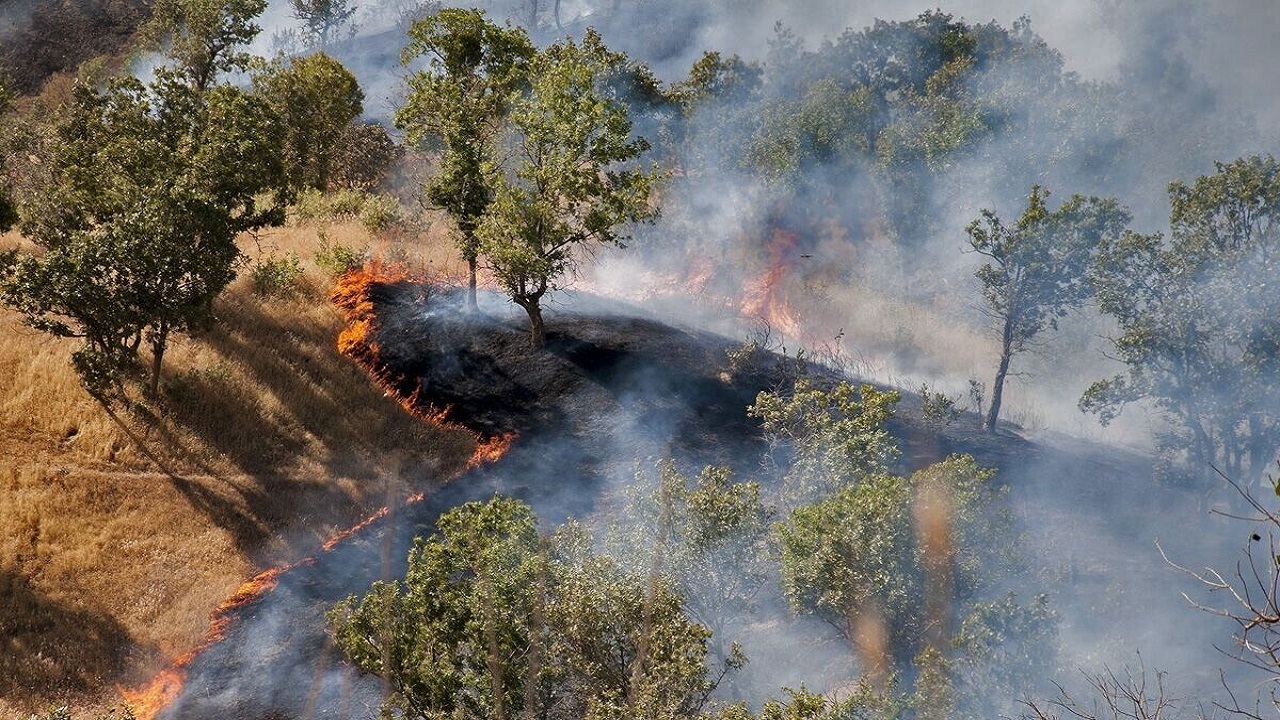 ایجاد آتش‌بُر؛ راهکار پیشگیری از سرایت آتش به جنگل‌های هیرکانی