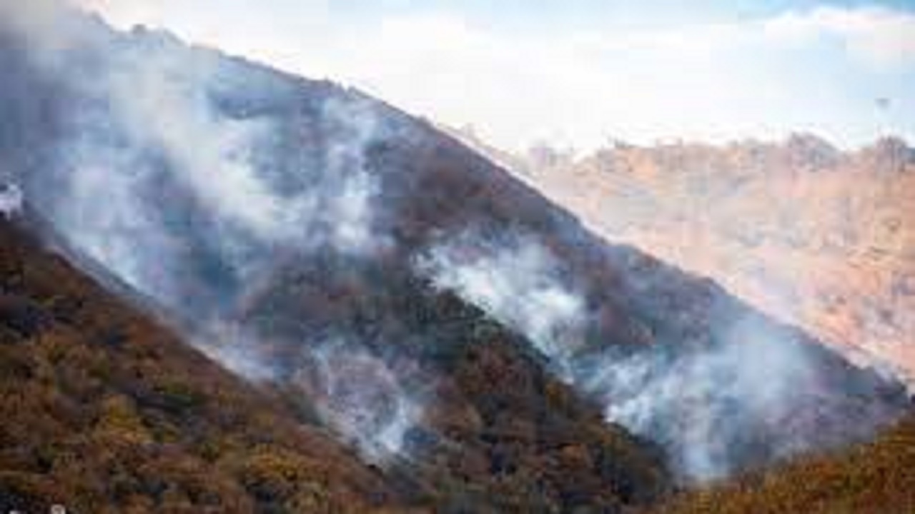 عوامل انسانی؛ علت اصلی آتش‌سوزی جنگل‌های کهگیلویه و بویراحمد