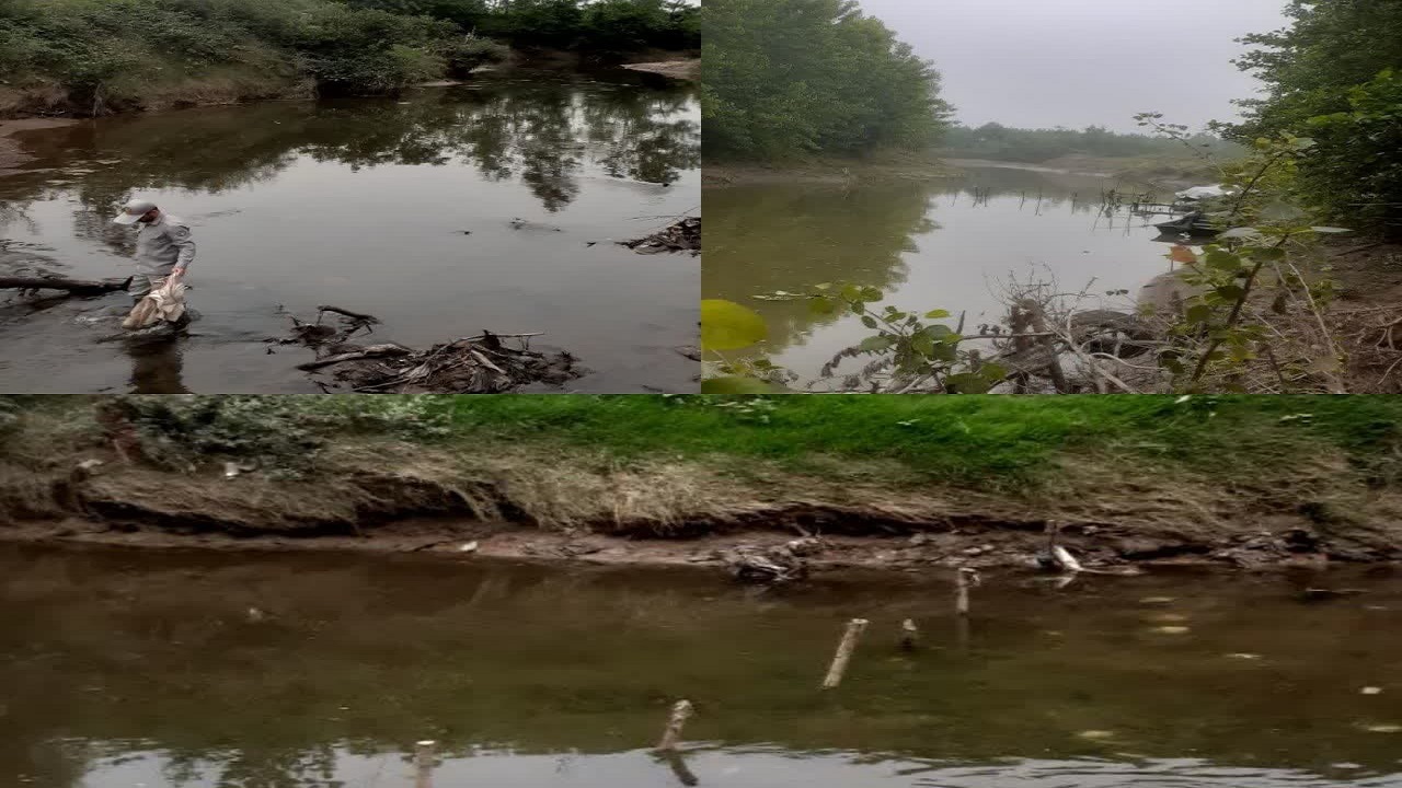 تخریب دام‌های صید ماهی در رودخانه سیاه درویشان صومعه سرا