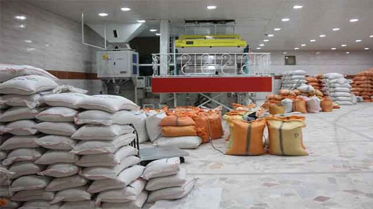 خرید روزانه ۲۰۰۰ تن برنج دپو شده شمال + فیلم