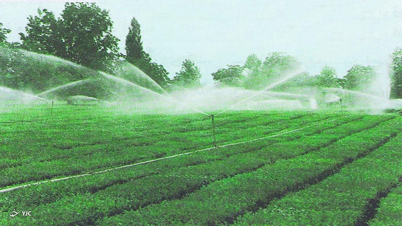 تجهیز ۴۶ درصد اراضی کشاورزی مهاباد به سامانه‌های نوین آبیاری