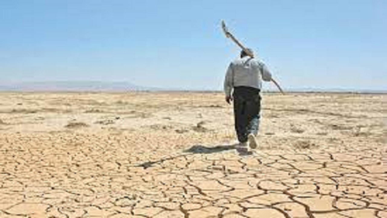 پرداخت ۲۷۸ میلیارد تومان خسارت خشکسالی به کشاورزان اردبیلی