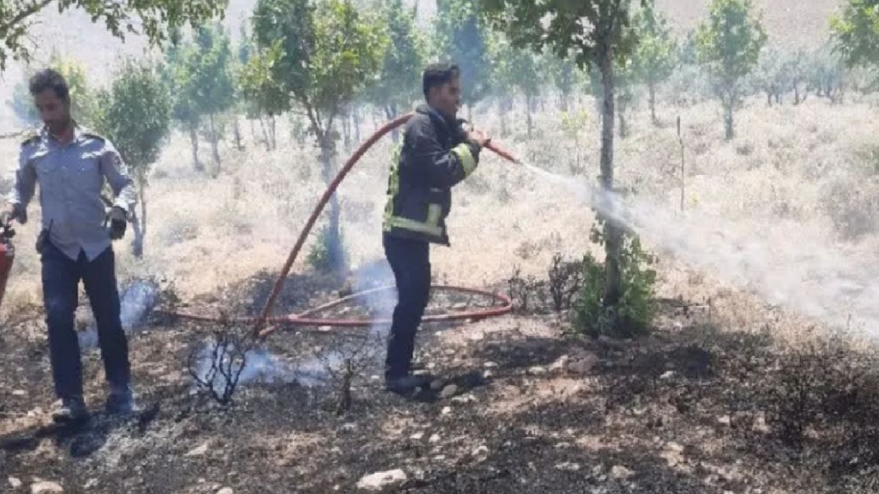 مهار آتش‌سوزی در مزارع کشاورزی شهرکرد