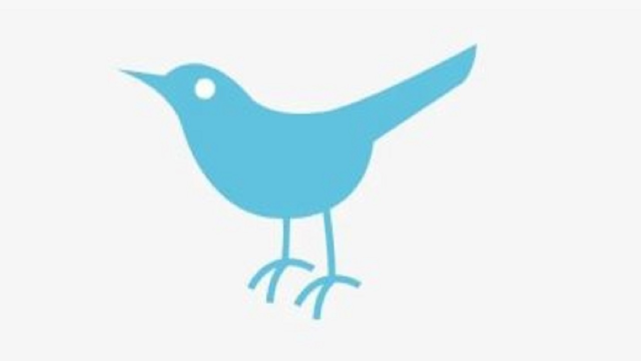نگاهی تاریخی به لوگوی توییتر/ ایلان ماسک چه تصمیمی برای پرنده آبی می گیرد؟