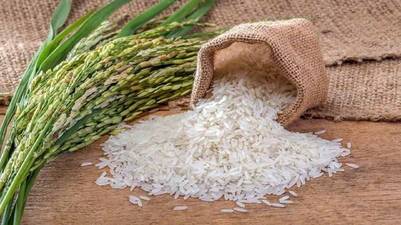 خرید برنج مازاد برنجکاران گلستانی
