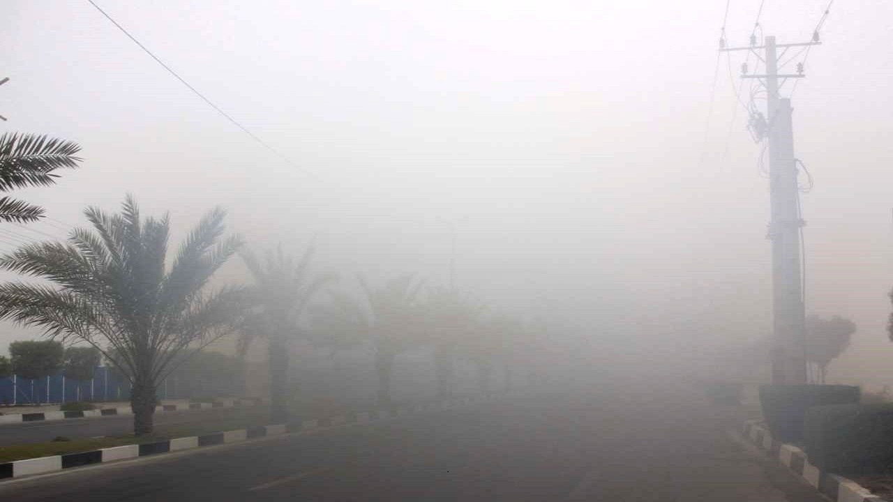 شرجی هوا در استان بوشهر به ۹۲ درصد رسید/ صدور هشدار دریایی