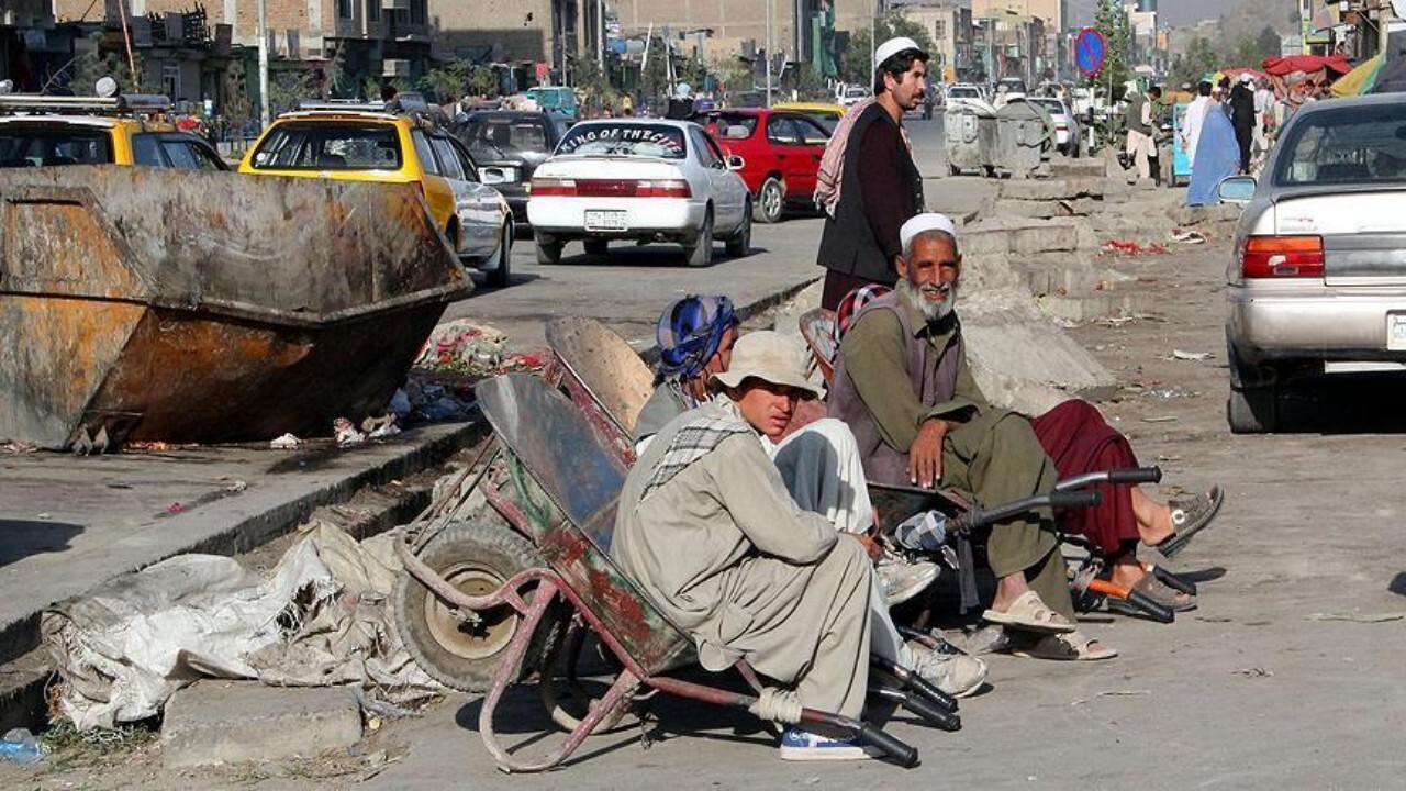 نصف جوانان تحصیل کرده در افغانستان بیکار هستند
