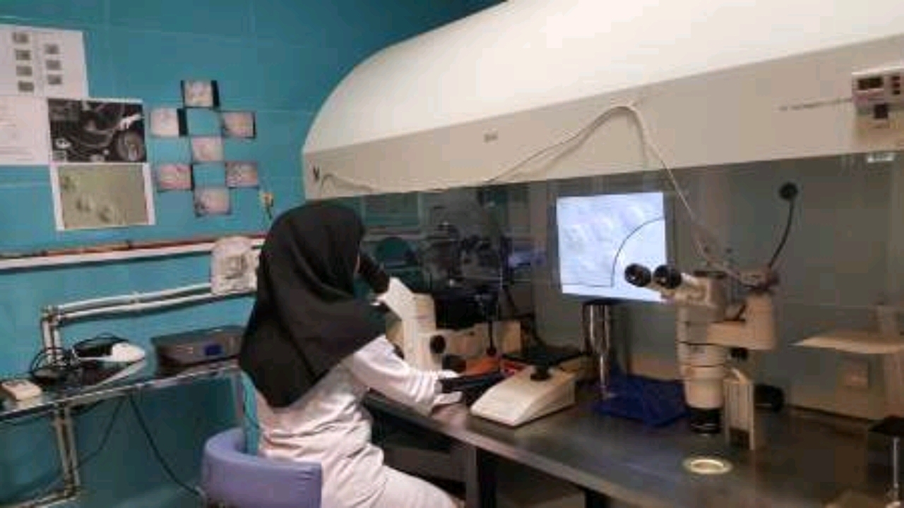 تصویب راه اندازی آزمایشگاه منطقه‌ای بررسی علل و ایجاد ناباروری در گلستان