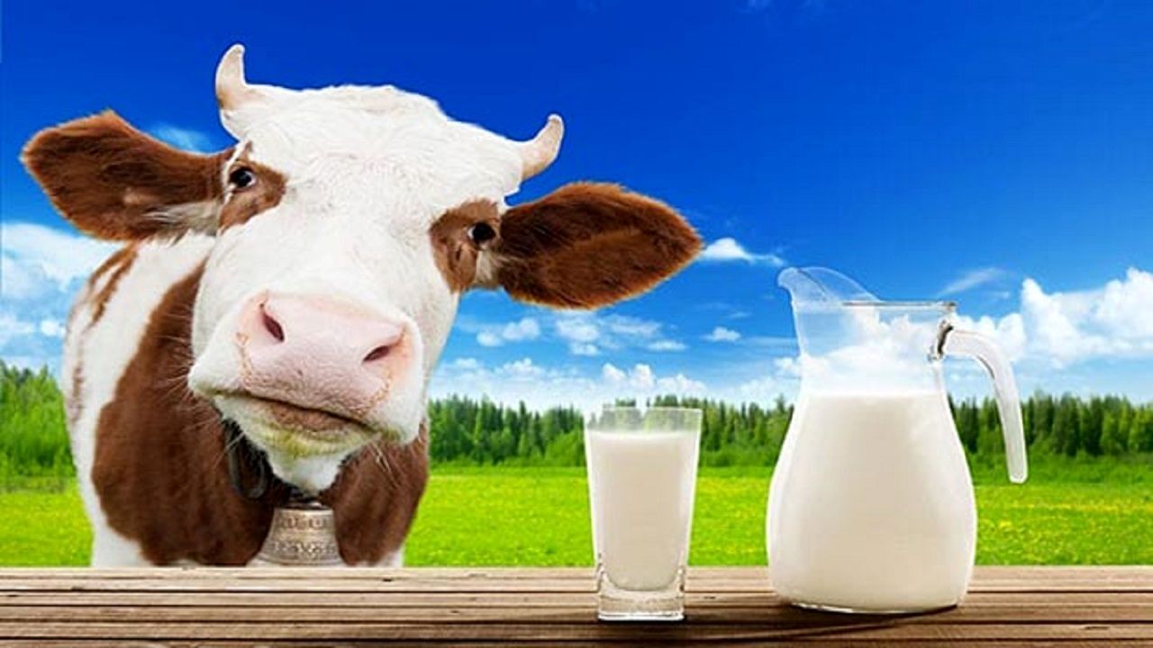 هزینه خرید شیر کم چرب در بازار چقدر است؟