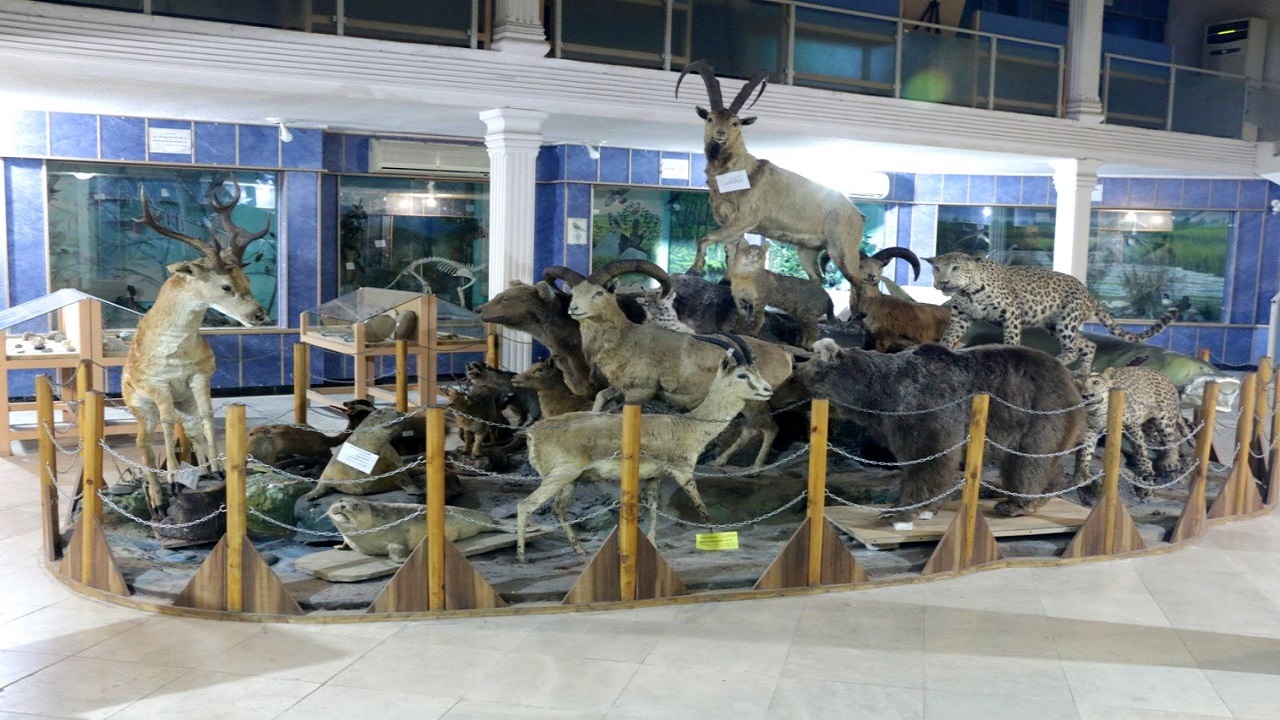 موزه تاریخ طبیعی و تنوع زیستی لرستان افتتاح شد