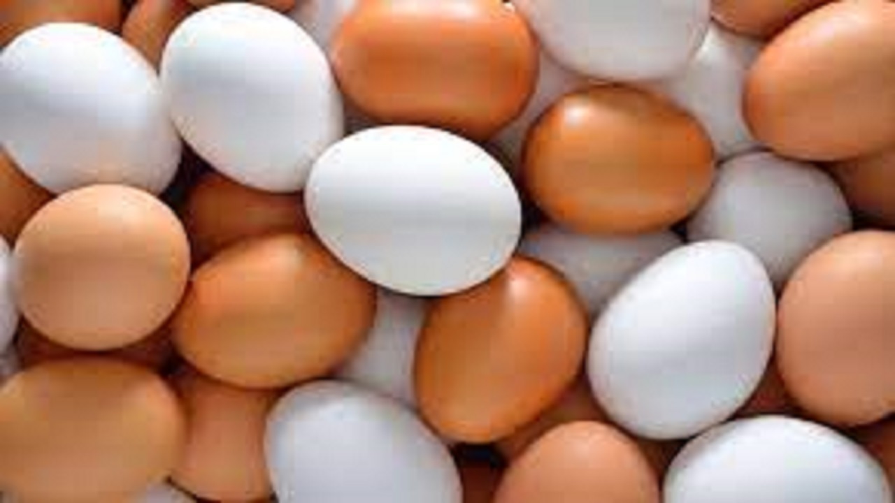 کشف بیش از یک تن تخم مرغ فاقد مجوز حمل در ملکان 