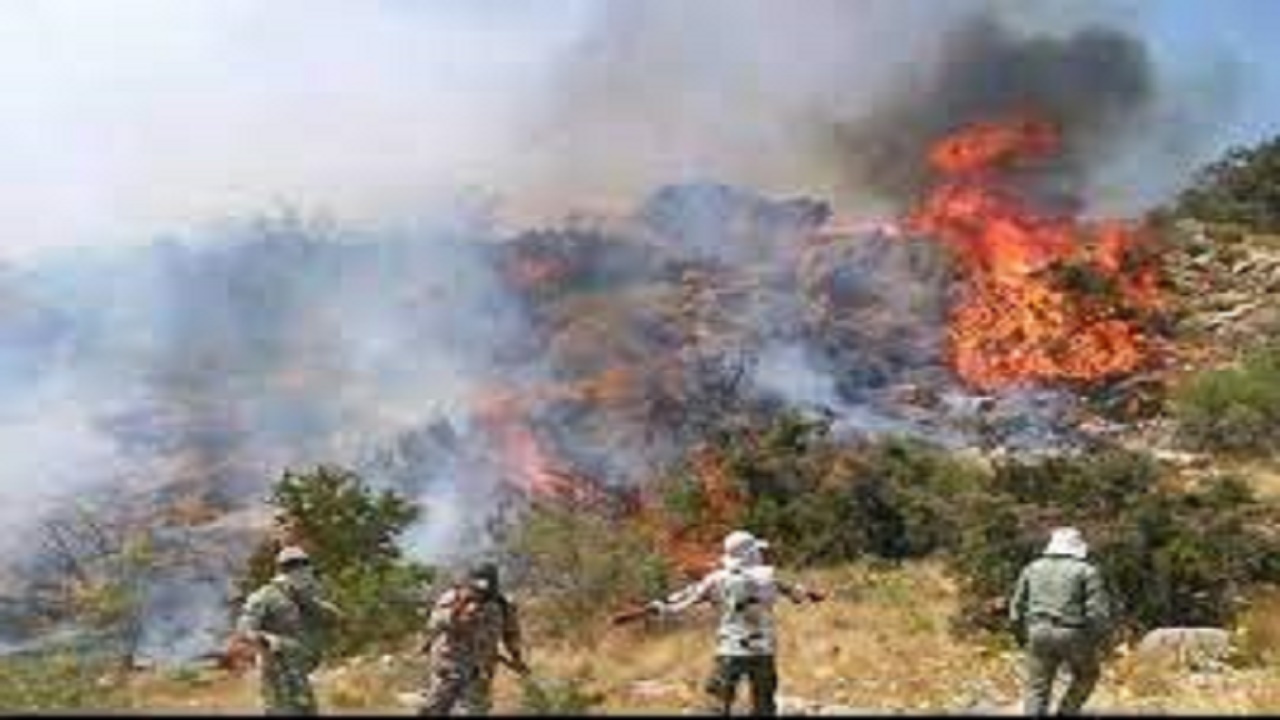 اعزام نیرو برای مهار آتش جنگل های پیچاب