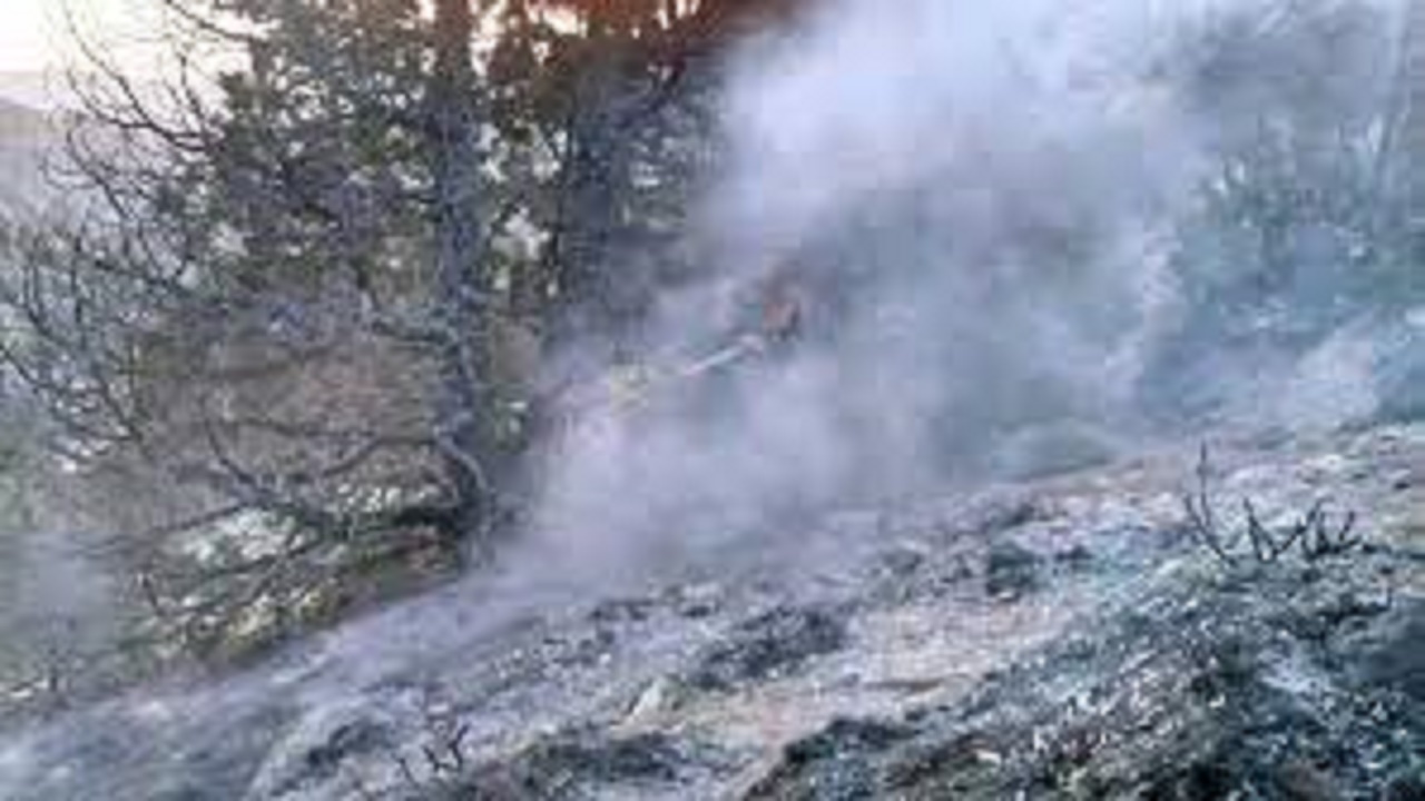 آتش سوزی جنگل‌های باشت مهار شد/ پایش منطقه توسط تیم‌های اعزامی