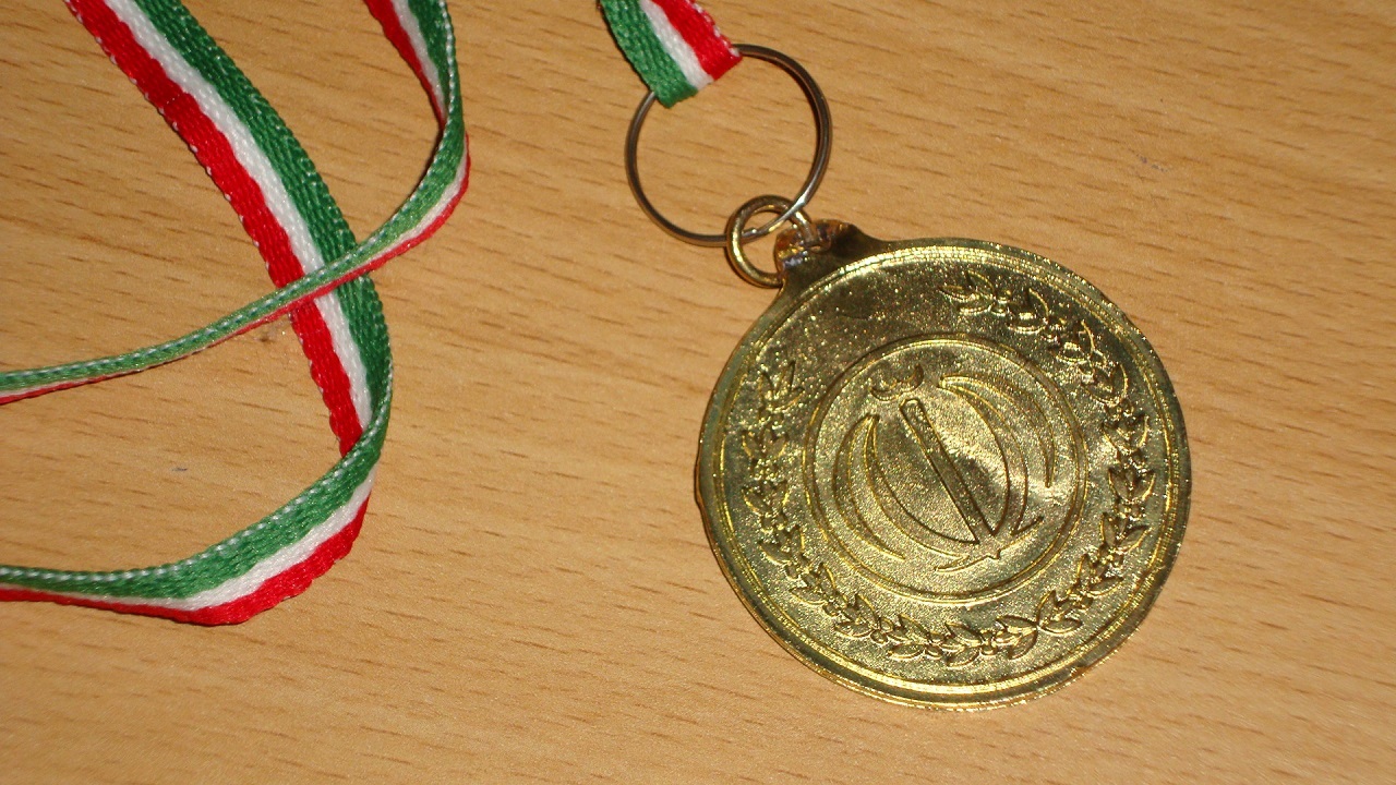 کسب نشان زرین طلا رقابت‌های قهرمانی کشور در دست قوی مرد کردستانی