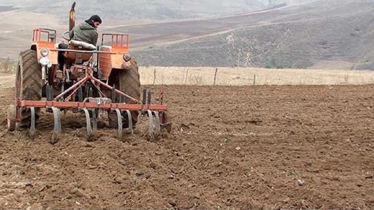 پیش‌بینی کشت گندم در ۲۹۰ هزار هکتار از اراضی زراعی استان اردبیل