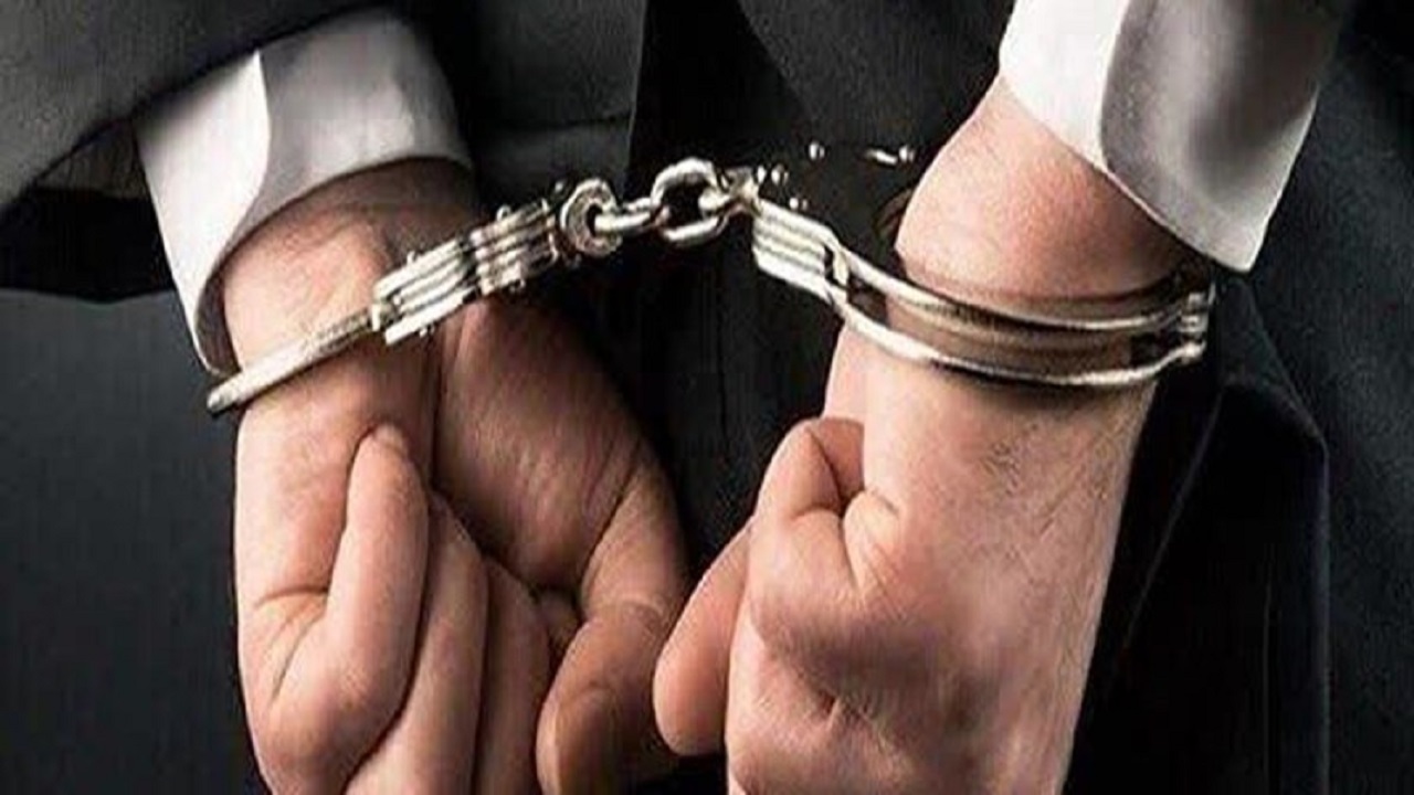 دستگیری ۳۵ سارق در خراسان‌جنوبی