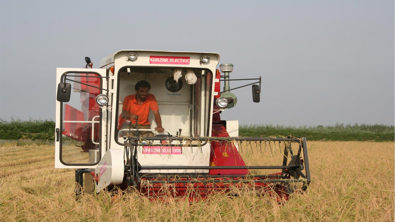 ریزش ۱۵ درصدی برنج با کمباین‌های فاقد معاینه فنی