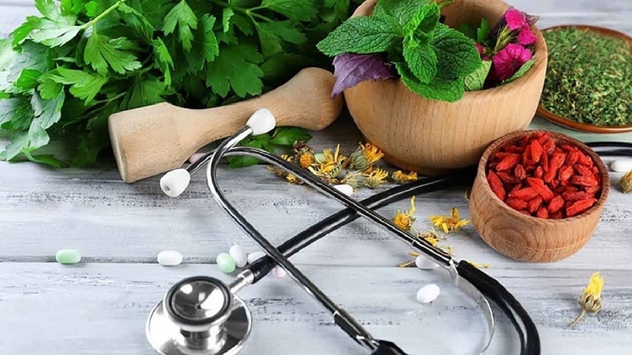 نهادینه کردن دانش گیاهان دارویی در کشور/ ایران دارای رتبه چهارم طب سنتی در دنیا