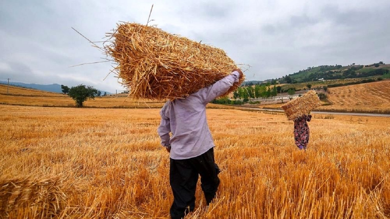 ۲۰ هزار میلیارد ریال برای پرداخت غرامت کشاورزان تخصیص یافت
