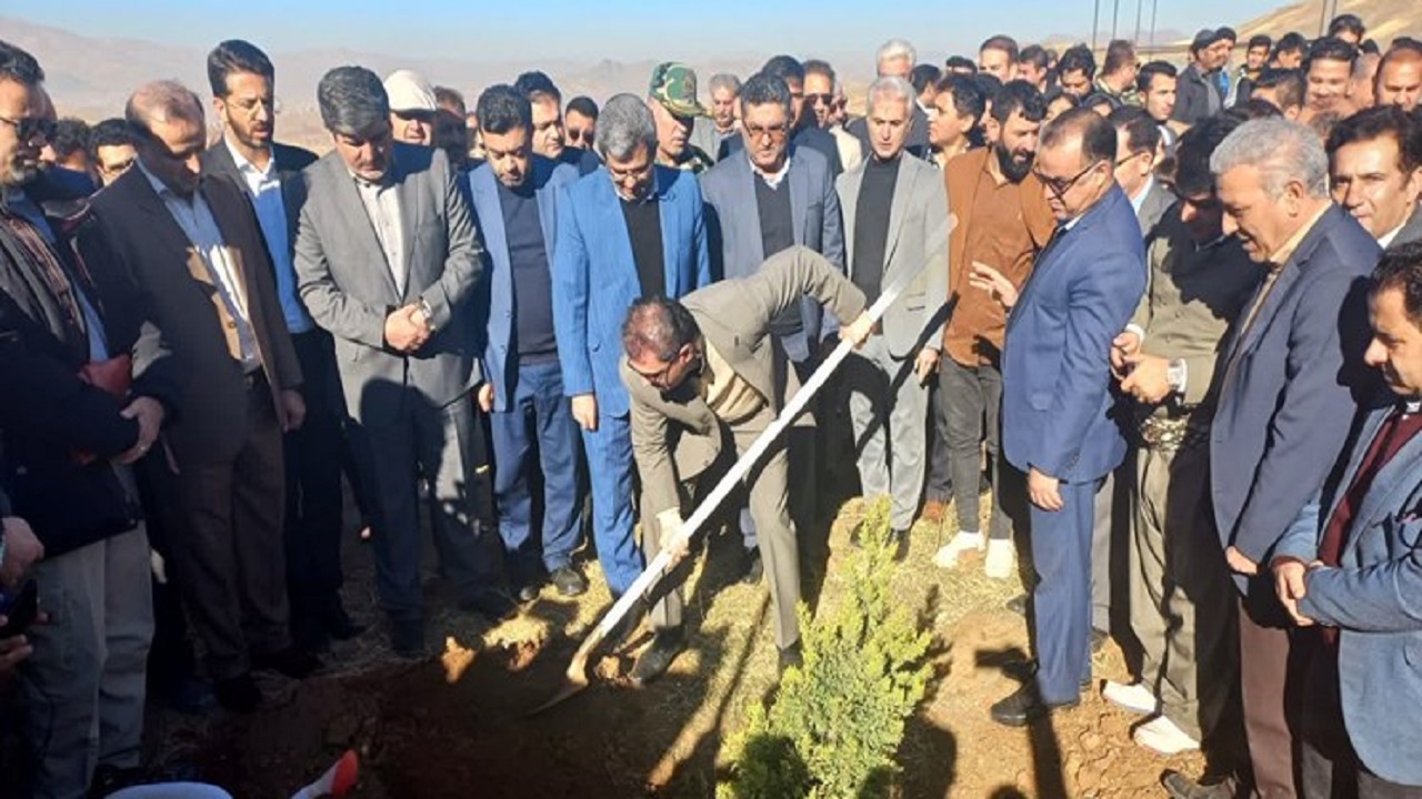 کاشت ۱۲ میلیون اصله درخت در کردستان آغاز شد