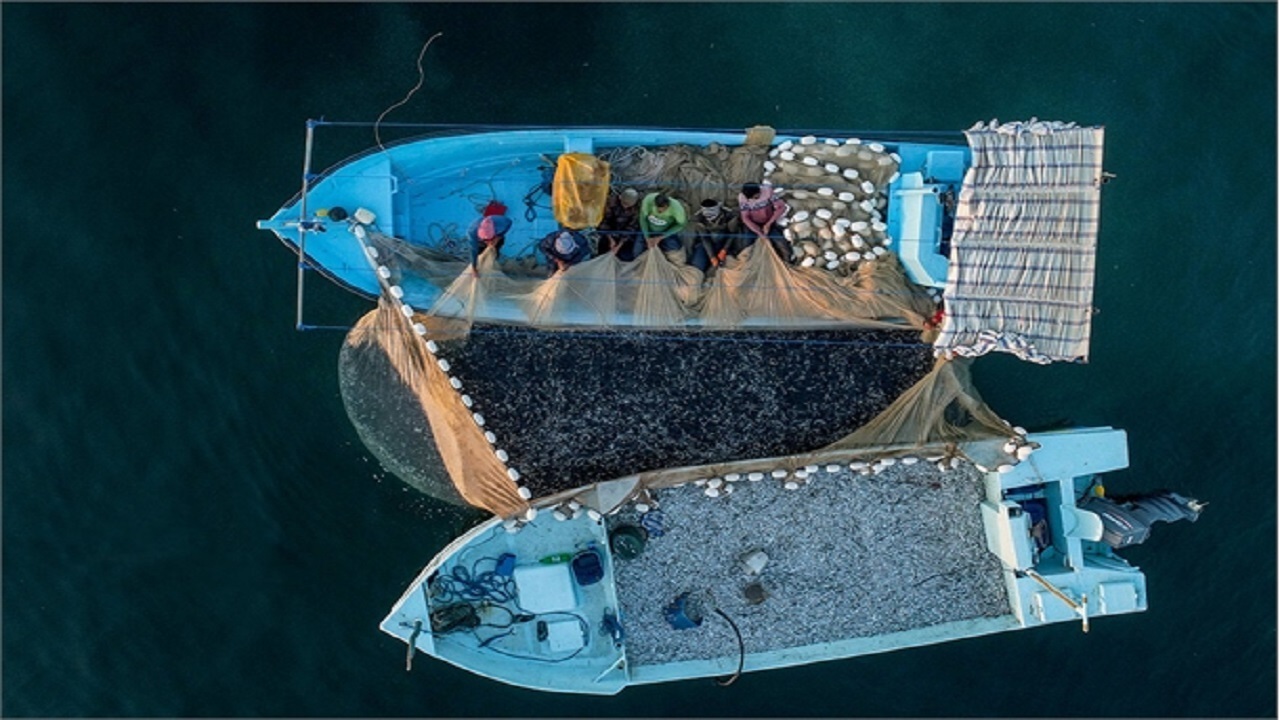 توقیف شناور صید غیرمجاز در آب‌های جاسک