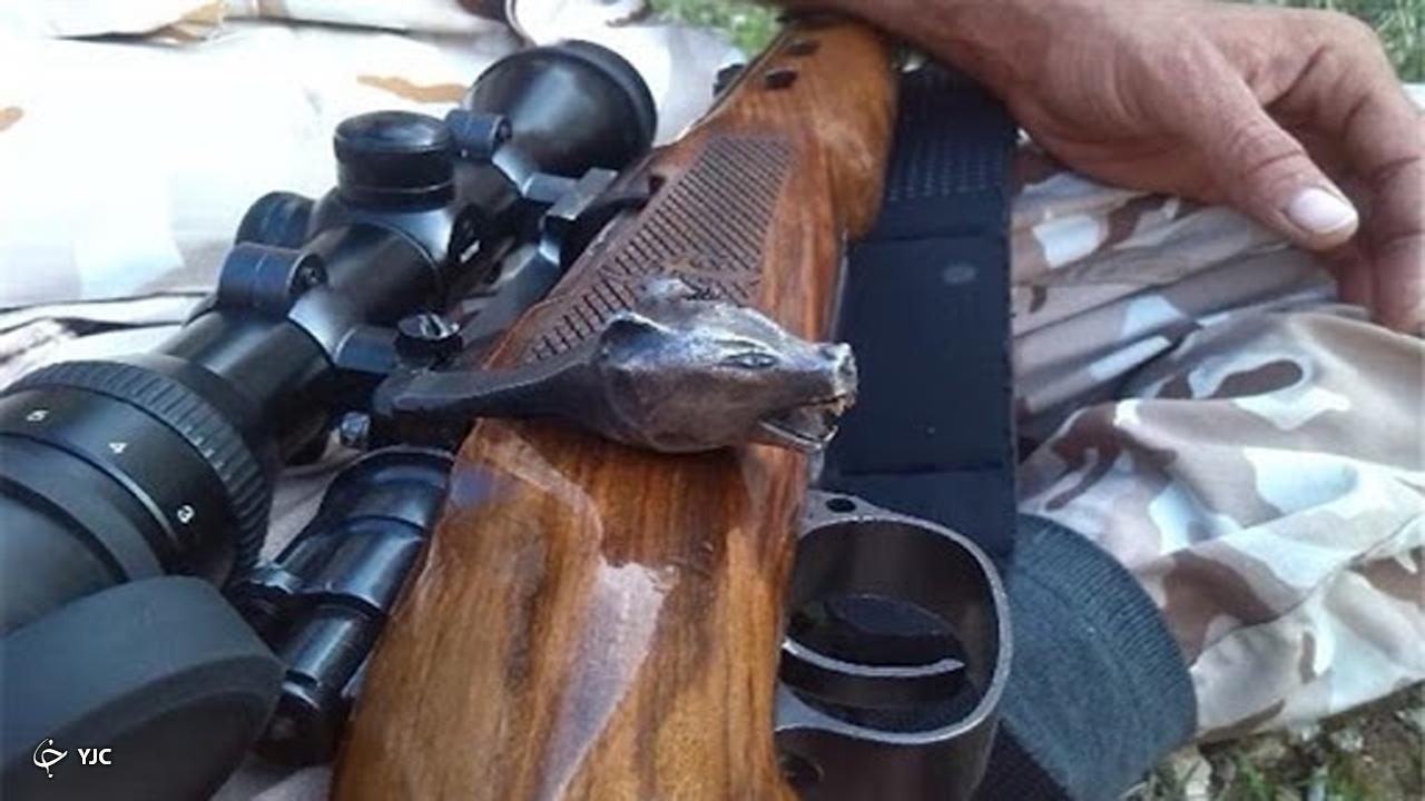 شکارچی متخلف در تالاب نوروزلوی میاندوآب دستگیر شد