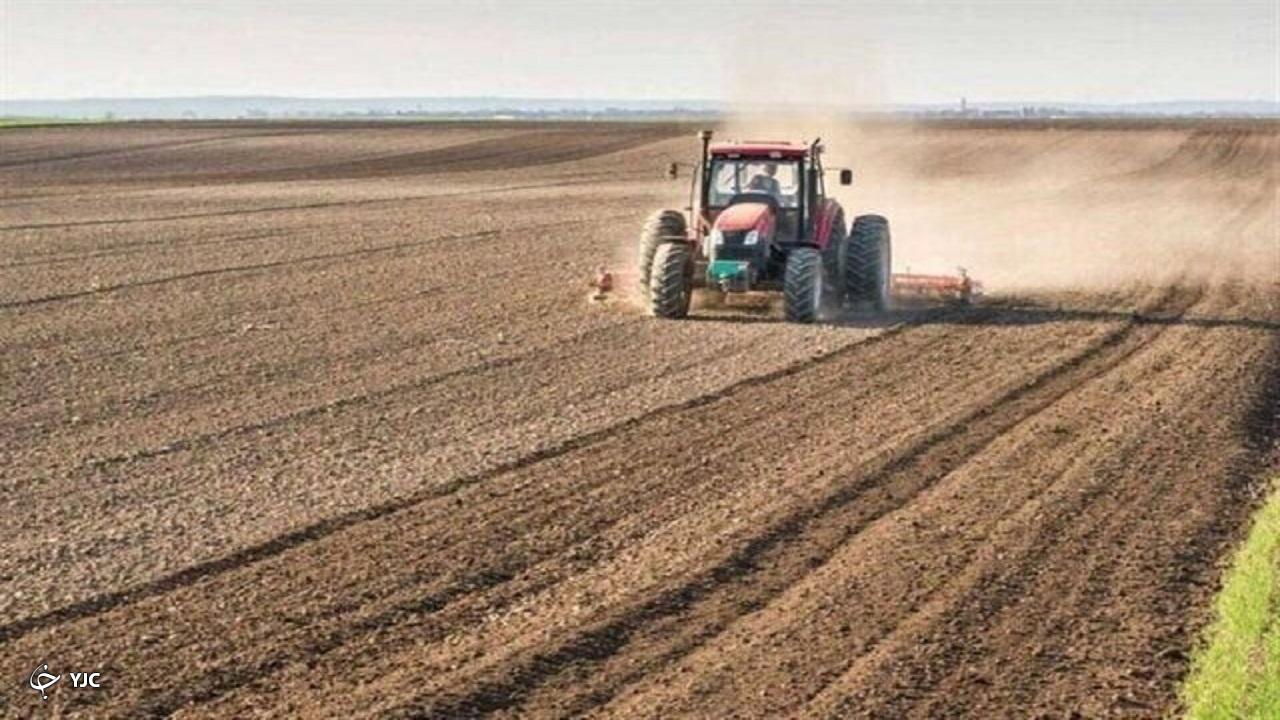 ۵۰۹ هزار هکتار از زمین کشاورزی آذربایجان‌غربی زیر کشت پاییزه رفت