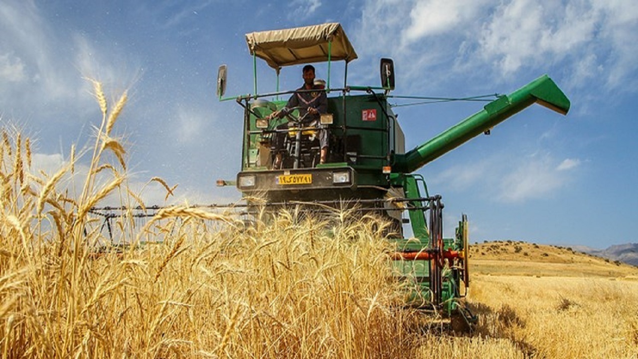 وزیر جهاد هرچه سریع تر باید نرخ گندم را تعیین تکلیف ‌کند
